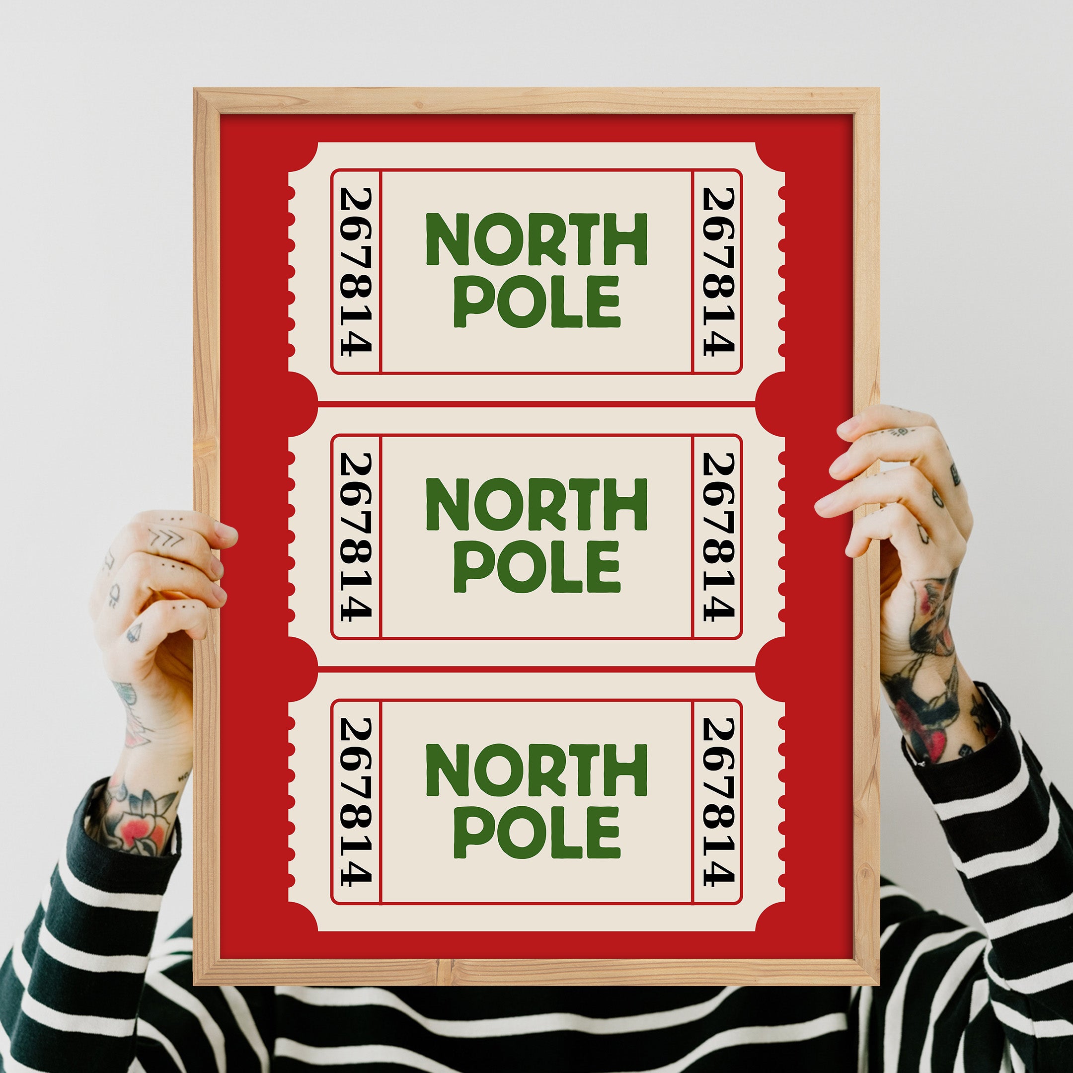 Kuzey Kutbu Pulu Poster Tablo