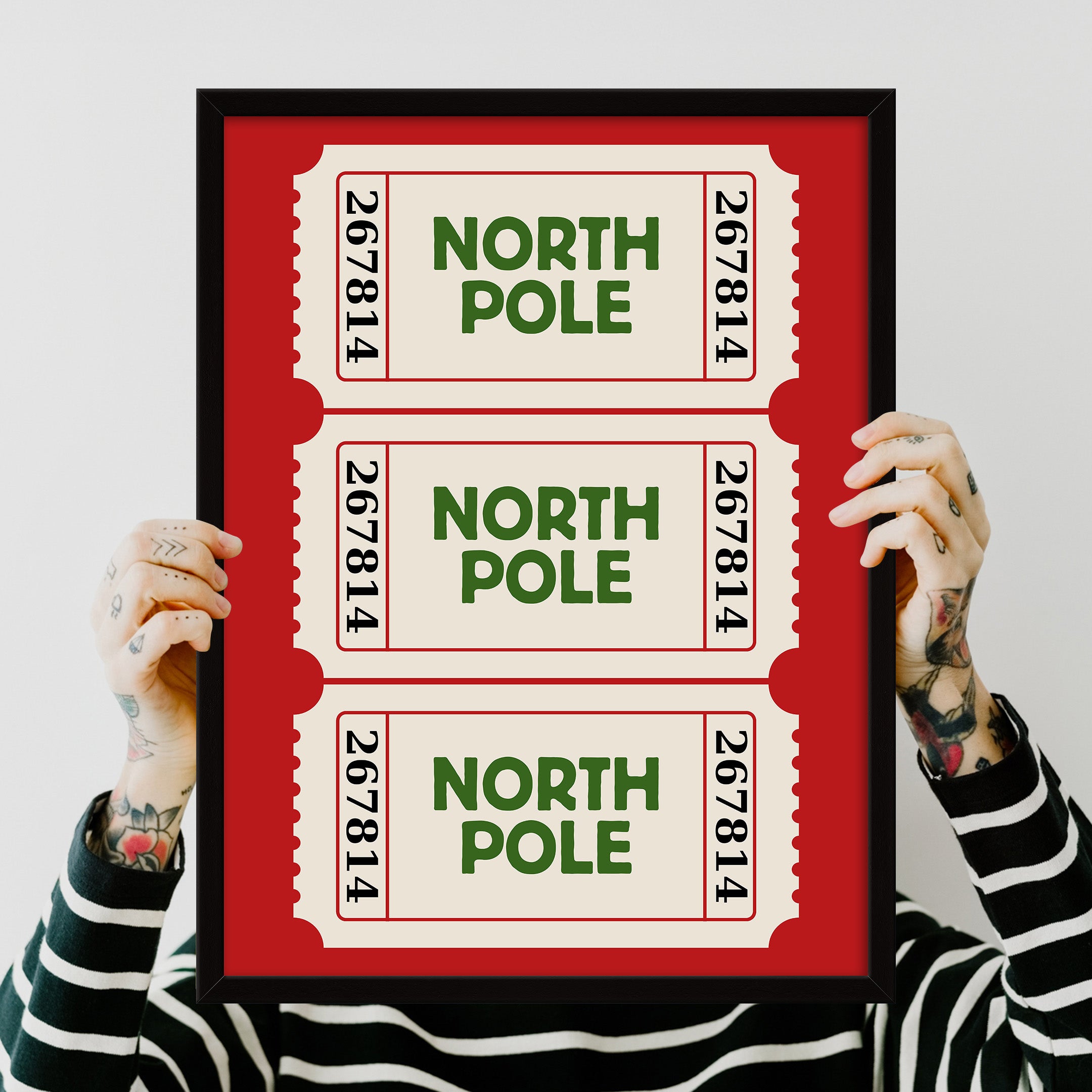 Kuzey Kutbu Pulu Poster Tablo